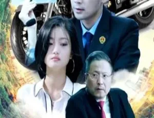 2018中国大陆剧 金牌律师之爱无价 国语中字版-蓝海网