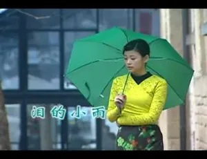 1989年罗时丰经典MV《泪的小雨》国语高清版