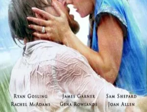 恋恋笔记本 The Notebook 2004 美国剧情 国语中字血胎换骨 2004香港电影 1080P国语无字 MKV 陶大宇颜仟汶