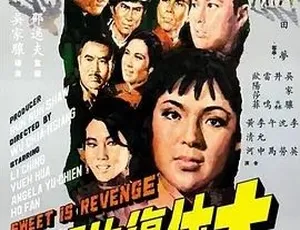 1967大侠复仇记 国语高清完整版