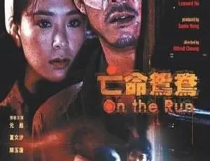亡命鸳鸯 1988 元彪 国粤双语 简繁英字幕-蓝海网