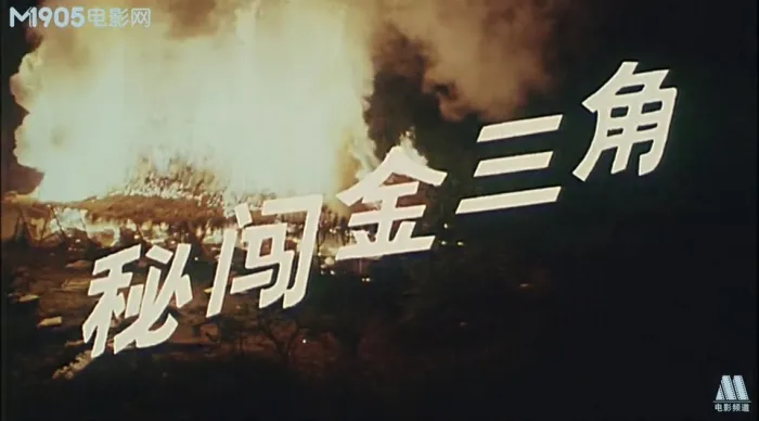 秘闯金三角 电影