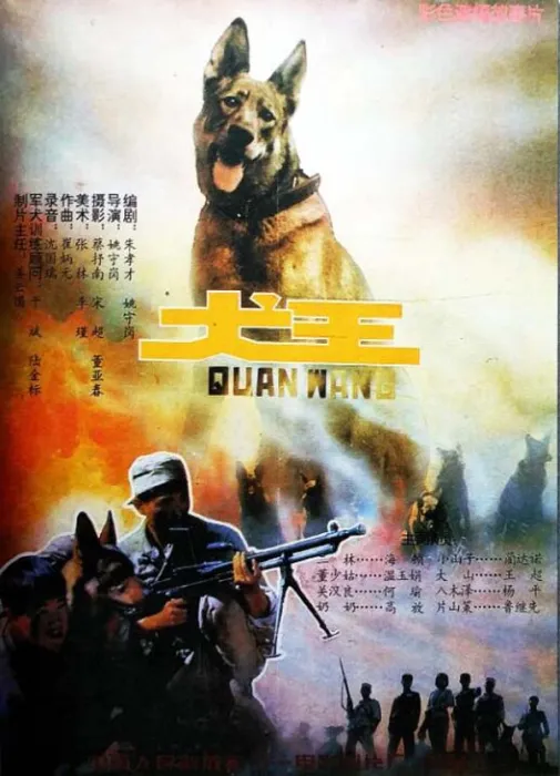 国产经典战争片