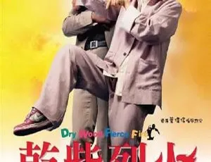2002香港干柴烈火 古天乐 杨千嬅 陈慧珊 国粤双语 1080P-蓝海网