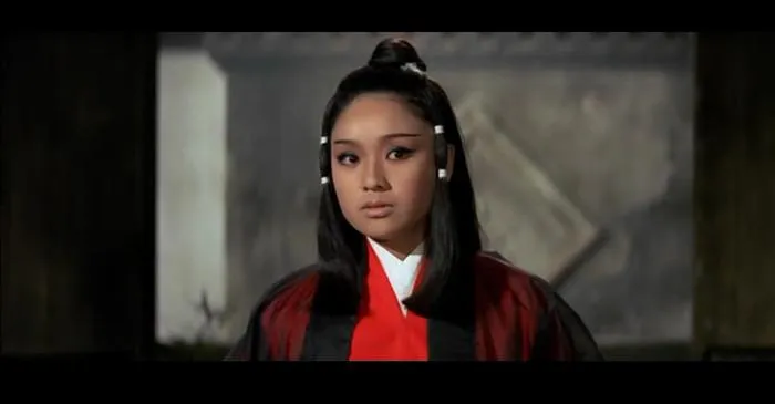 李菁岳华复仇传奇