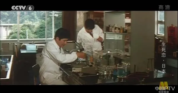 友情爱情伦理困境