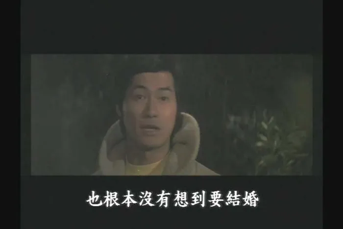 海鸥飞处