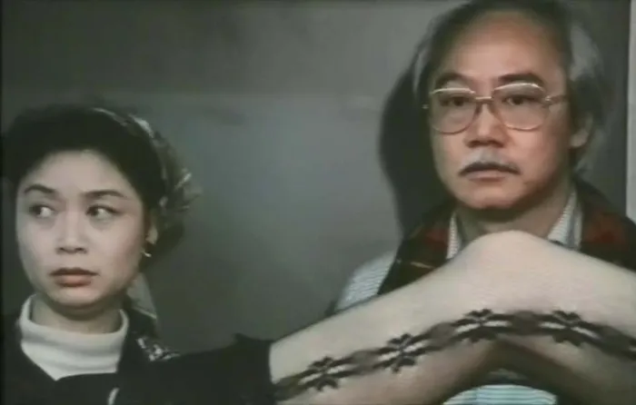 夜之访客 1985