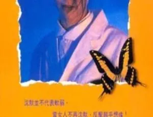 沉默的姑娘 1994 袁咏仪 金城武 邵美琪 国粤双语 MKV-蓝海网