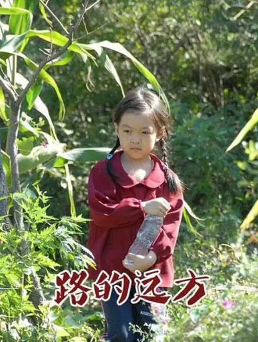 路的远方 2012