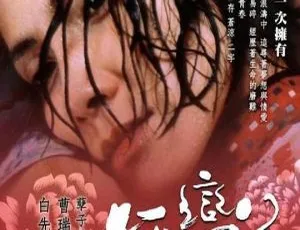 2005香港孤恋花国语无字