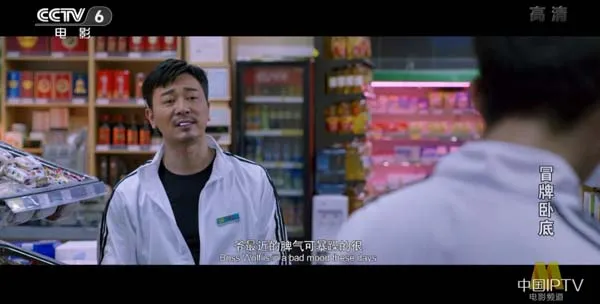 冒牌卧底电影解析