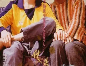 1994香港电影 姊妹情深 国语中字 MKV高清版-蓝海网