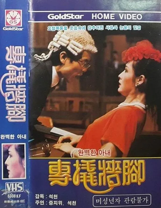理想的太太