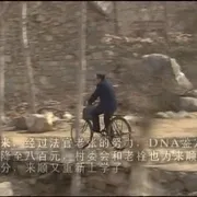 农村法律题材
