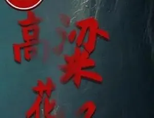 2012 高粱花子 汉语普通话 全1集-蓝海网