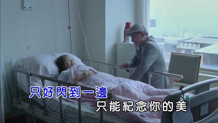 2018国语MV