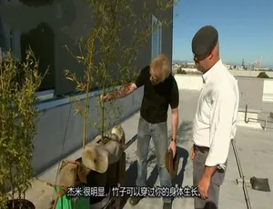 流言终结者 第六季全13集 英语中字 1080P高清纪录片