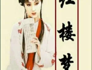 红楼梦广播剧原声全集24集杨红樱笑猫日记有声故事全集64集免费收听