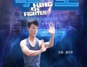拳皇2011 中国大陆动作电影 国语中字版