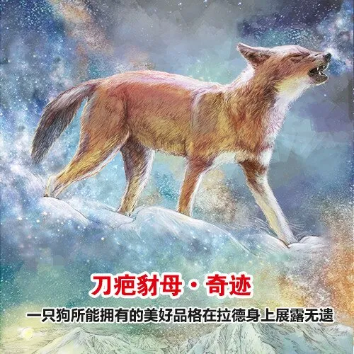 沈石溪动物小说