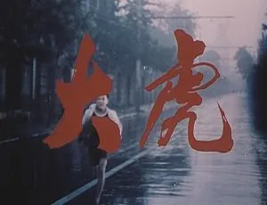 1981中国大陆经典影片大虎 国语中字高清版-蓝海网