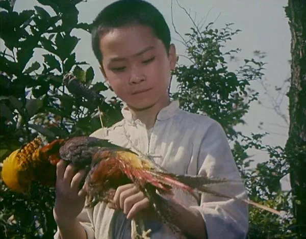 革命年代电影