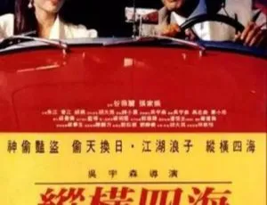 1991纵横四海 国语中字高清经典电影-蓝海网