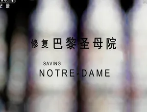 修复巴黎圣母院全纪录 2020 1080P 国语中字 完整版