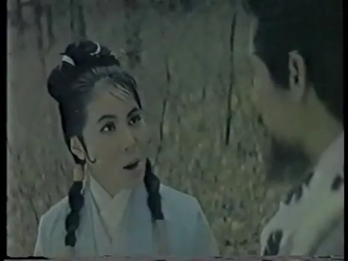 罗炽导演经典武侠

（核心要素：完整片名+年份强化辨识度，台韩合拍地域特色，导演+类型标签精准定位）