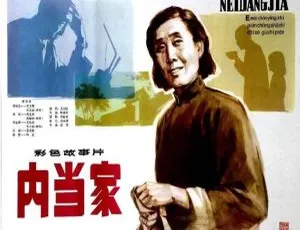 1982国产经典电影内当家 国语中字怀旧珍藏-蓝海网