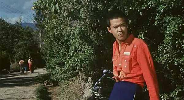 边境缉私悬疑片