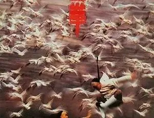 1996香港动作喜剧 太极拳功夫小子闯情关 国粤双语DVD版男女方程式 1984香港 国语中字 MKV