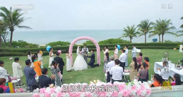 跨国黑帮动作片