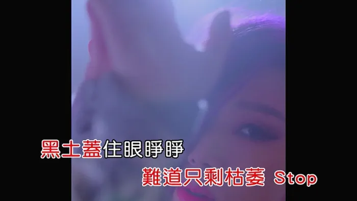 2018国语流行音乐