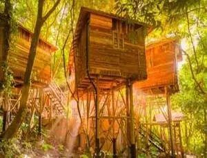 神奇树屋Magic Tree House全6册精读课程完结视频+课件合集-蓝海网