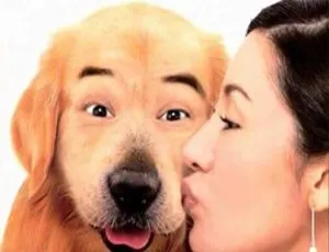 2001 中国大陆 完美情人 国语中字