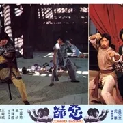 元华 动作喜剧