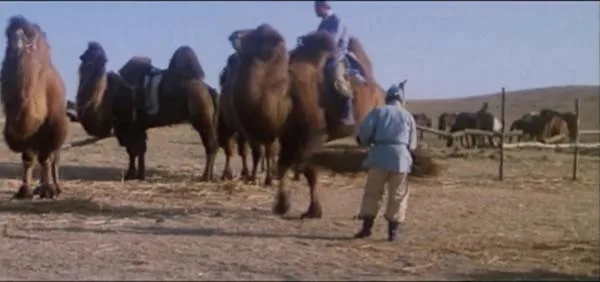 1985经典动作片