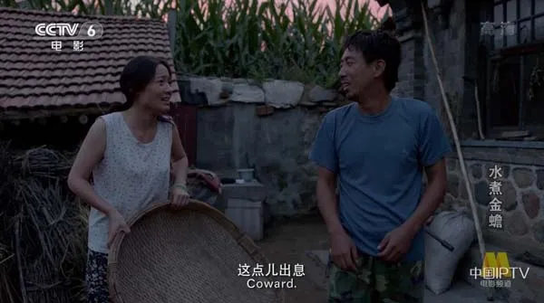 水煮金蟾高清完整版