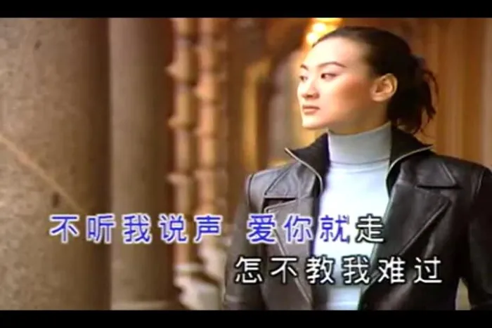 告诉你爱的时候 国语MV