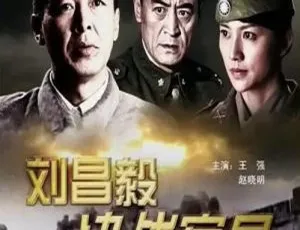 刘昌毅决战宿县：2009年大陆战争电影 国语中字 高清经典-蓝海网