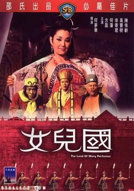 何梦华导演MKV