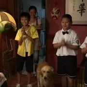 自闭症儿童与流浪犬
