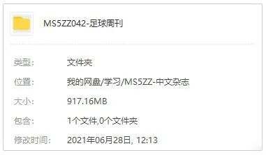 国际足坛焦点人物