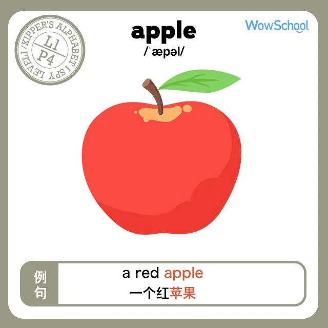 牛津树词卡PDF下载