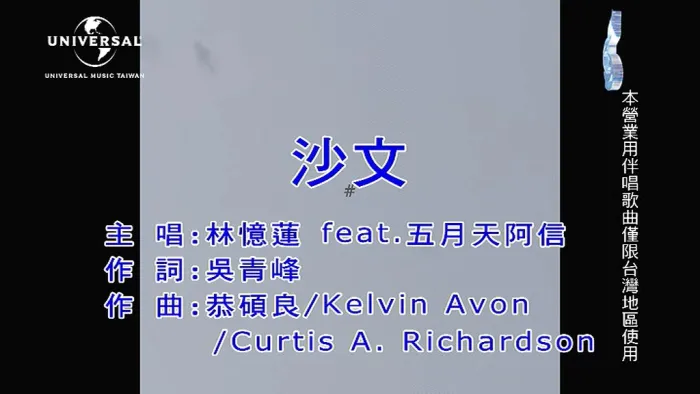 沙文MV官方版