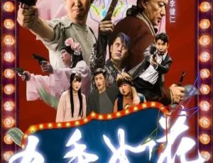 杀手如花大战斧头帮 2017中国动作片 国语中字 1080P高清