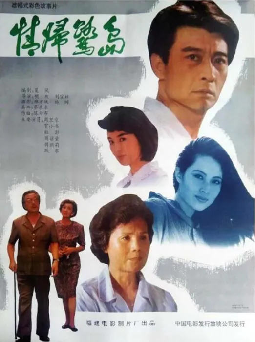 两岸亲情电影
