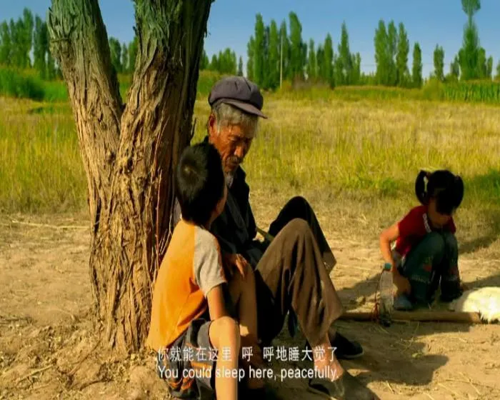 苏童文学改编